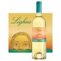 Lighea vino bianco doc Tenuta donnafugata